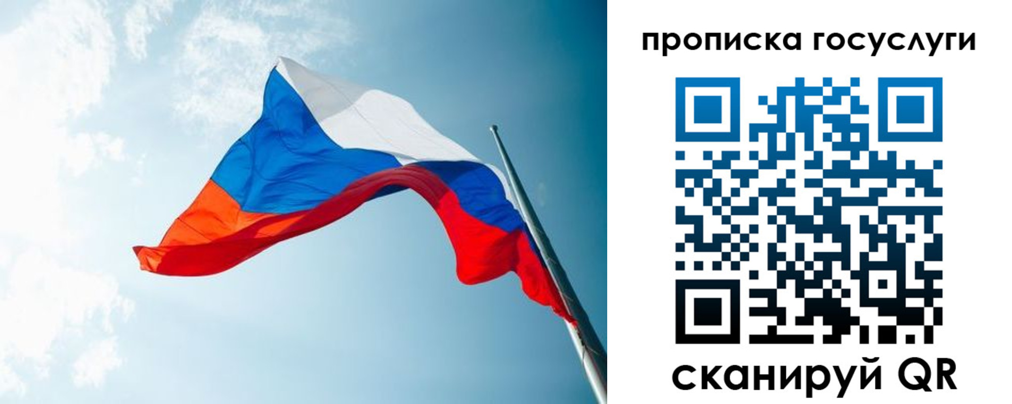 регистрация для школы в Новодвинске